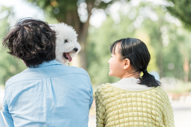 不登校の中学生への家族の対応は？